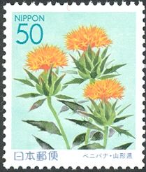 Safflower (Carthamus tinctorius)