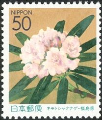 Alpine Rose (Rhododendron fauriei - var. nemotoanum)