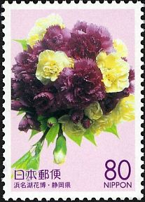 Carnations (Dianthus caryophyllus)