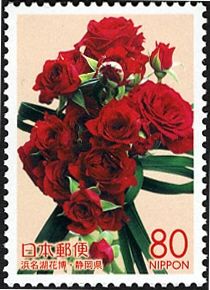 Rose (Rosa hybrid)