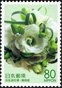 Prairie Gentian (Eustoma grandiflorum)