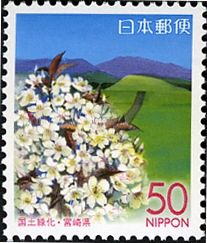 Saitobaru Burial Mounds, Mount Osuzu & Cherry Blossom