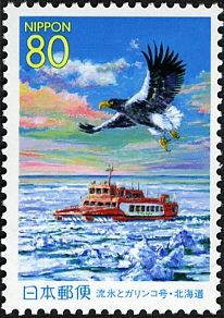Sea Ice, Garinko-go II, Steller's Sea Eagle (Haliaeetus pela