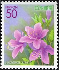 Azalea