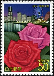 Roses with Night View of Buildings at Minato-Mirai 21 area