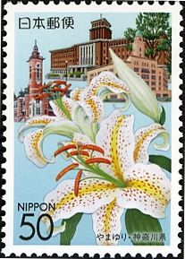 Gold-banded Lily with Yokohama Buildings