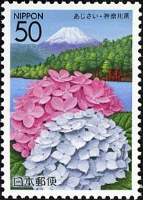 Hydrangea & Lake Ashi - Hakone