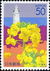 Rape Blossoms & Nojimazaki Lighthouse - Chiba Pref.