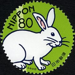Rabbit
