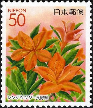Clover-like Azalea
