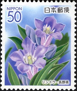 Gentian