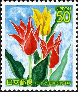 Tulip
