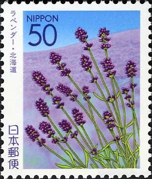 Lavender