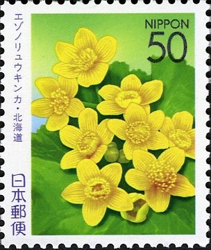Cowslip