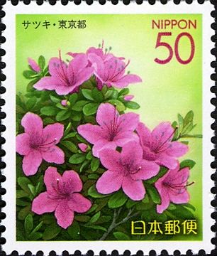 Azalea