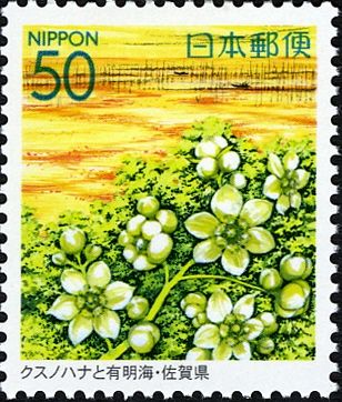 Camphor blossoms & Ariake Sea - Saga Pref.