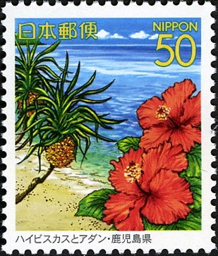 Hibiscus & Screwpine - Kagoshima Prefecture