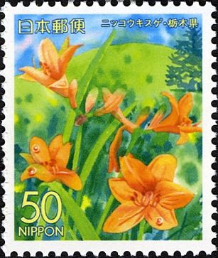 Nikko Day Lily & Kirifuri Heights - Tochigi Pref.