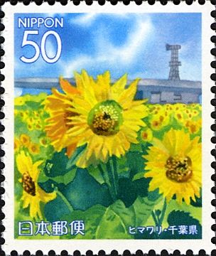 Sunflowers at Hanahotaru Park - Chiba Prefecture