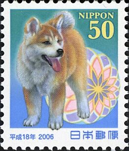 Akita Inu (Canis Lupus Familiaris)