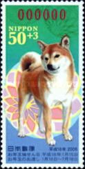 Akita Inu (Canis Lupus Familiaris)