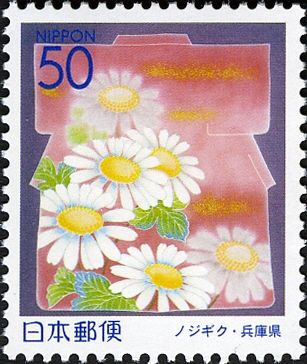 Wild Chrysanthemums - Hyōgo