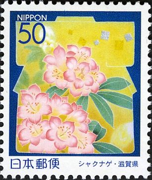 Rhododendron - Shiga