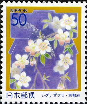 Weeping Cherry - Kyoto