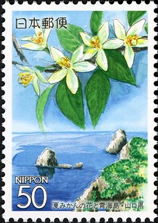 Blossoms of Chinese Citron & Ōmi Island - Yamaguchi Pref.