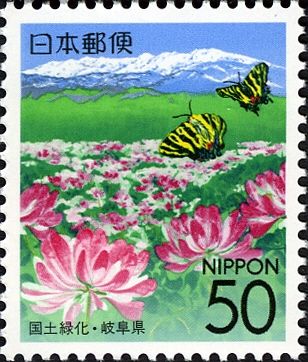 Milk Vetch, Mount Norikuradaka & Gifucho Butterflies