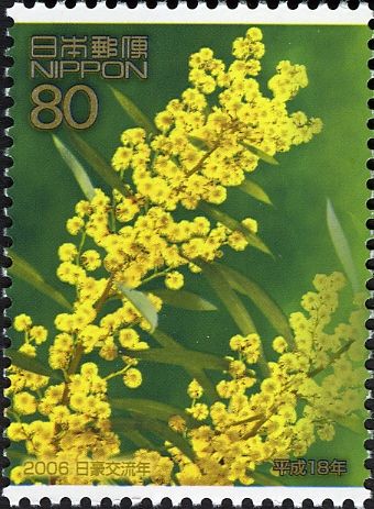 Golden Wattle
