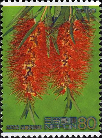 Bottle Brush