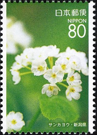 Skeleton Flowers