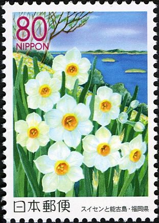 Daffodils & Nokono Island - Fukuoka Pref.