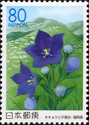 Chinese Bellflowers & Hiraodai Karst Plateau - Fukuoka