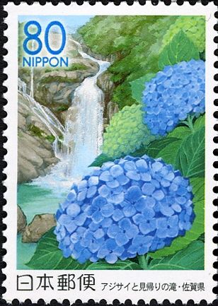 Hydrangeas & Mikaeri Waterfalls - Saga Pref.