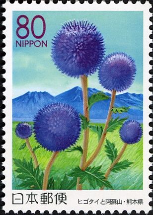 Globe Thistle & Mount Aso - Kumamoto Prefecture