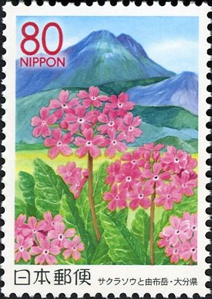 Primroses & Mount Yufu - Ōita Prefecture