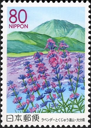 Lavender & Mount Kujū - Ōita Prefecture