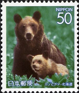 Hokkaido Brown Bear (Ursus arctos yesoensis) 
