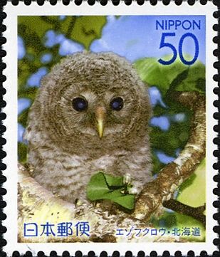Ural Owl (Strix uralensis)