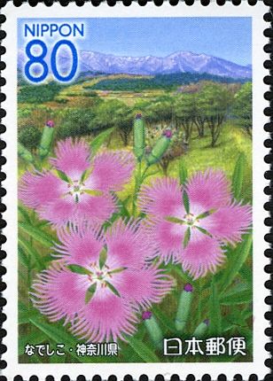Pinks & Tanzawa Mountains
