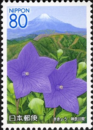 Balloon flowers & Mount Fuji
