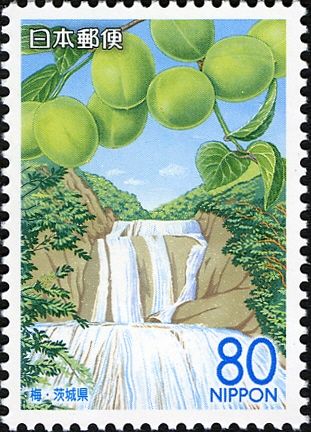 Plum & Fukuroda Waterfall - Ibaraki Prefecture