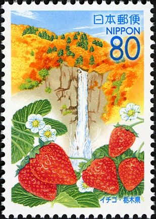 Strawberry & Kegon Waterfall - Tochigi Prefecture
