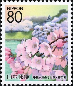 Cherry Blossoms at Chidorigafuchi