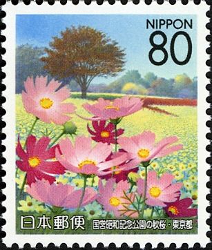 Cosmos at Shōwa Kinen Park