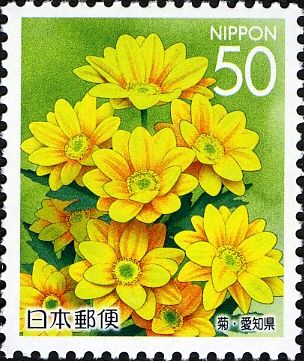 Chrysanthemum