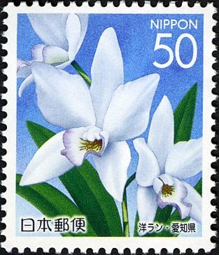 Orchid