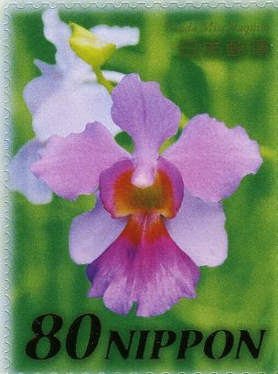 Vanda Miss Joaquim Orchid
